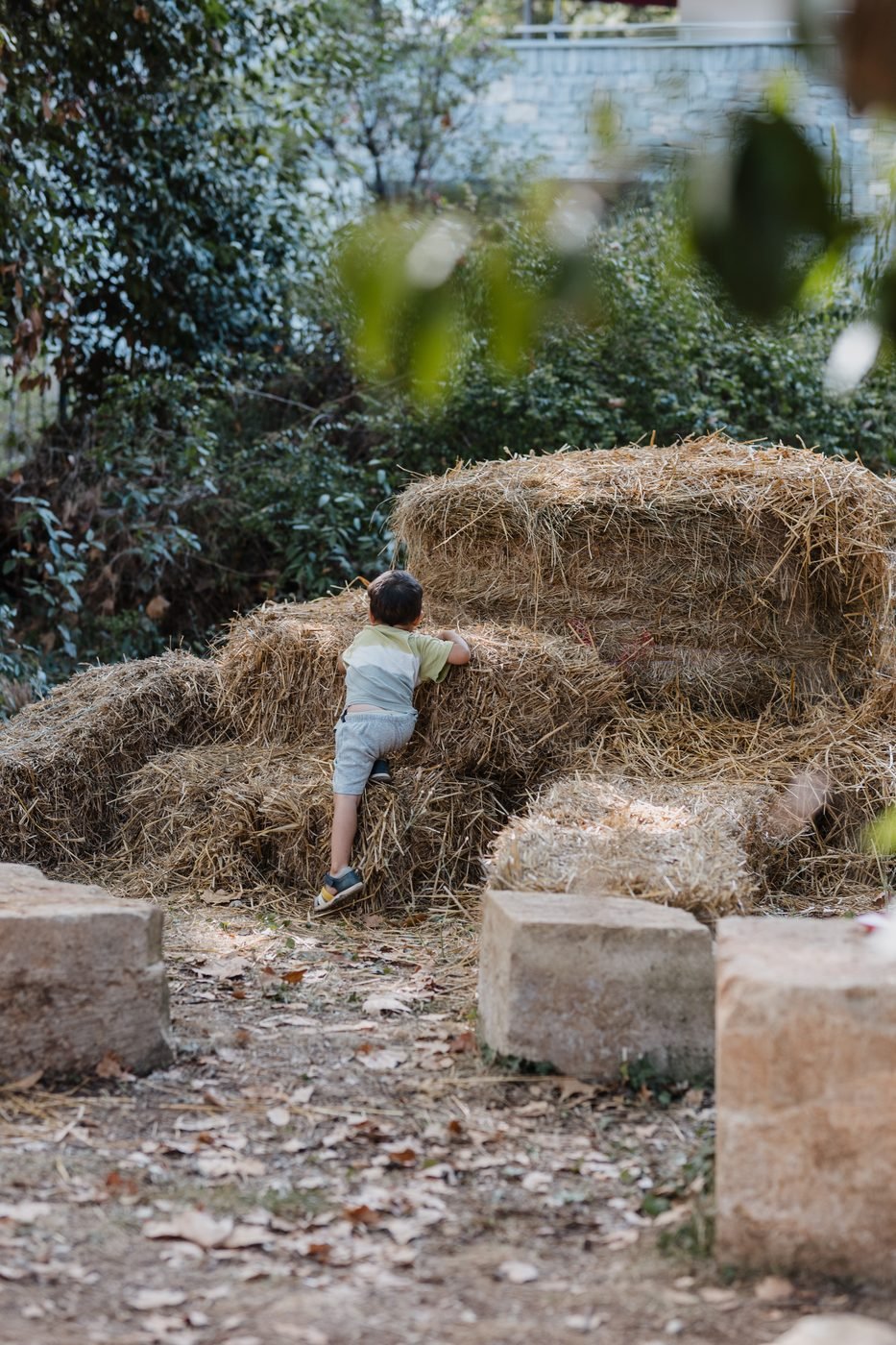 Enfant sur le terrain d'aventure
